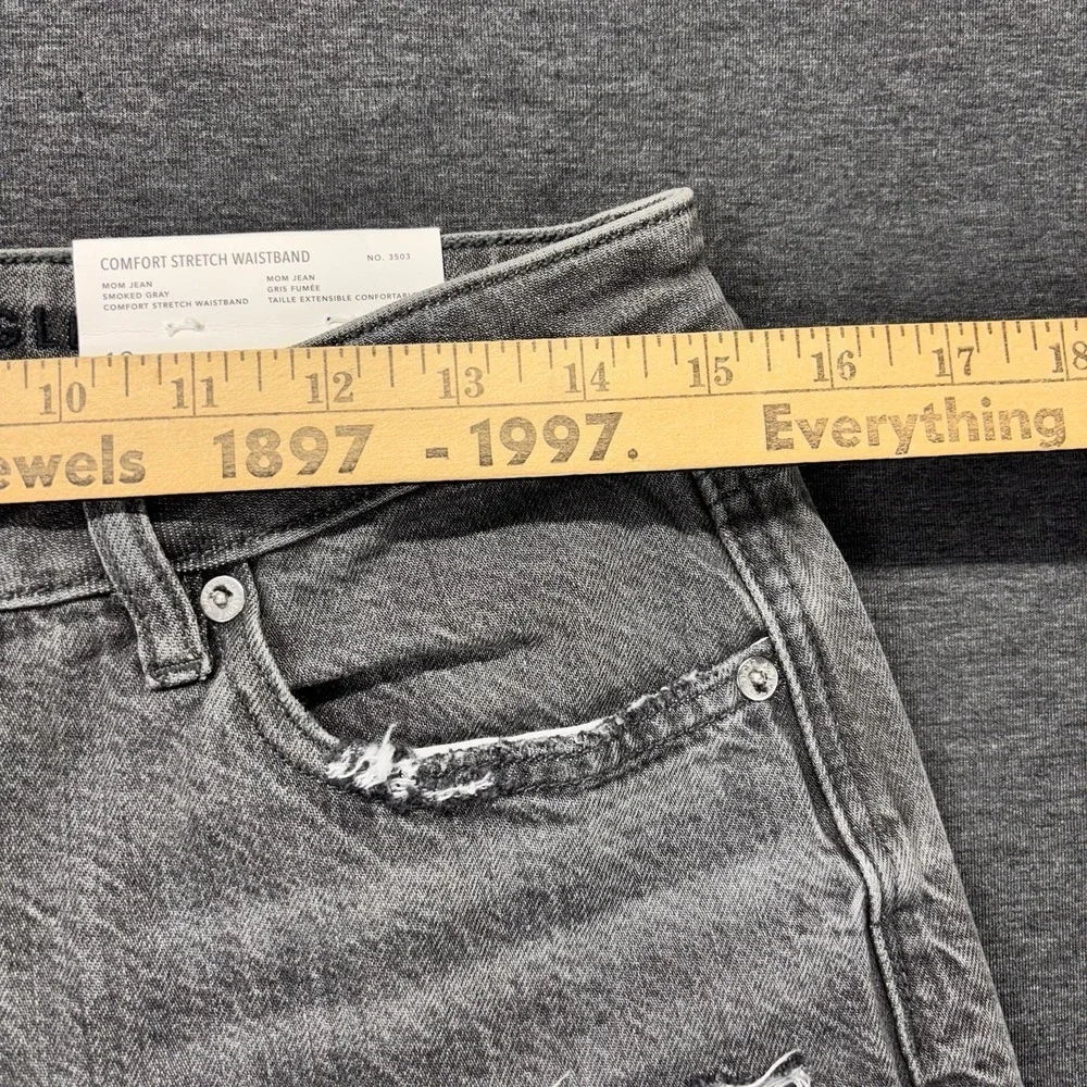 American Eagle Mom‎ Jeans Size 10 (30x28) Stretch Distressed Gray Regular NEW